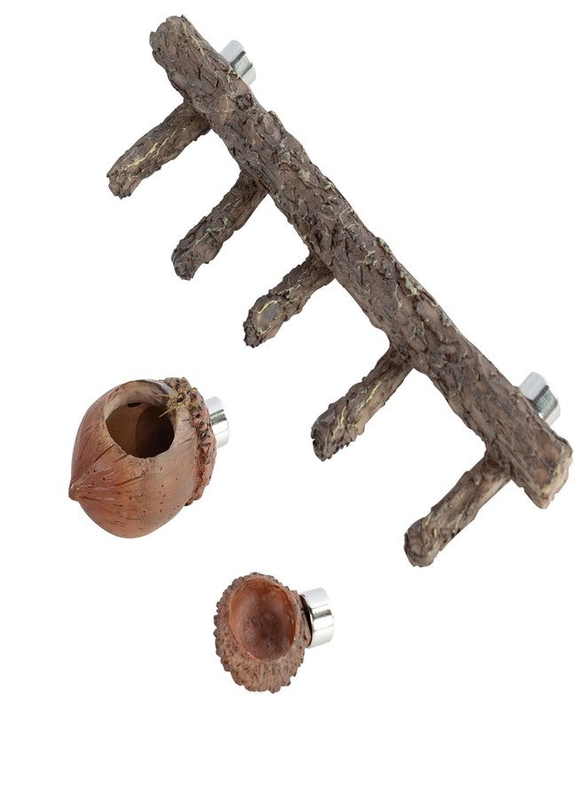 Oiibo Jumping Spider Hideout and Feeding Dish, 3 in 1 Nut Shaped Hide Cave Sets for Spider Playing Feeding Climbing, Enclosure Accessories - Image 1